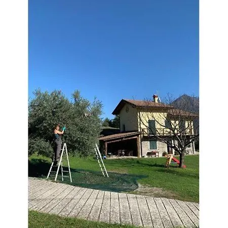 Casa Mirto